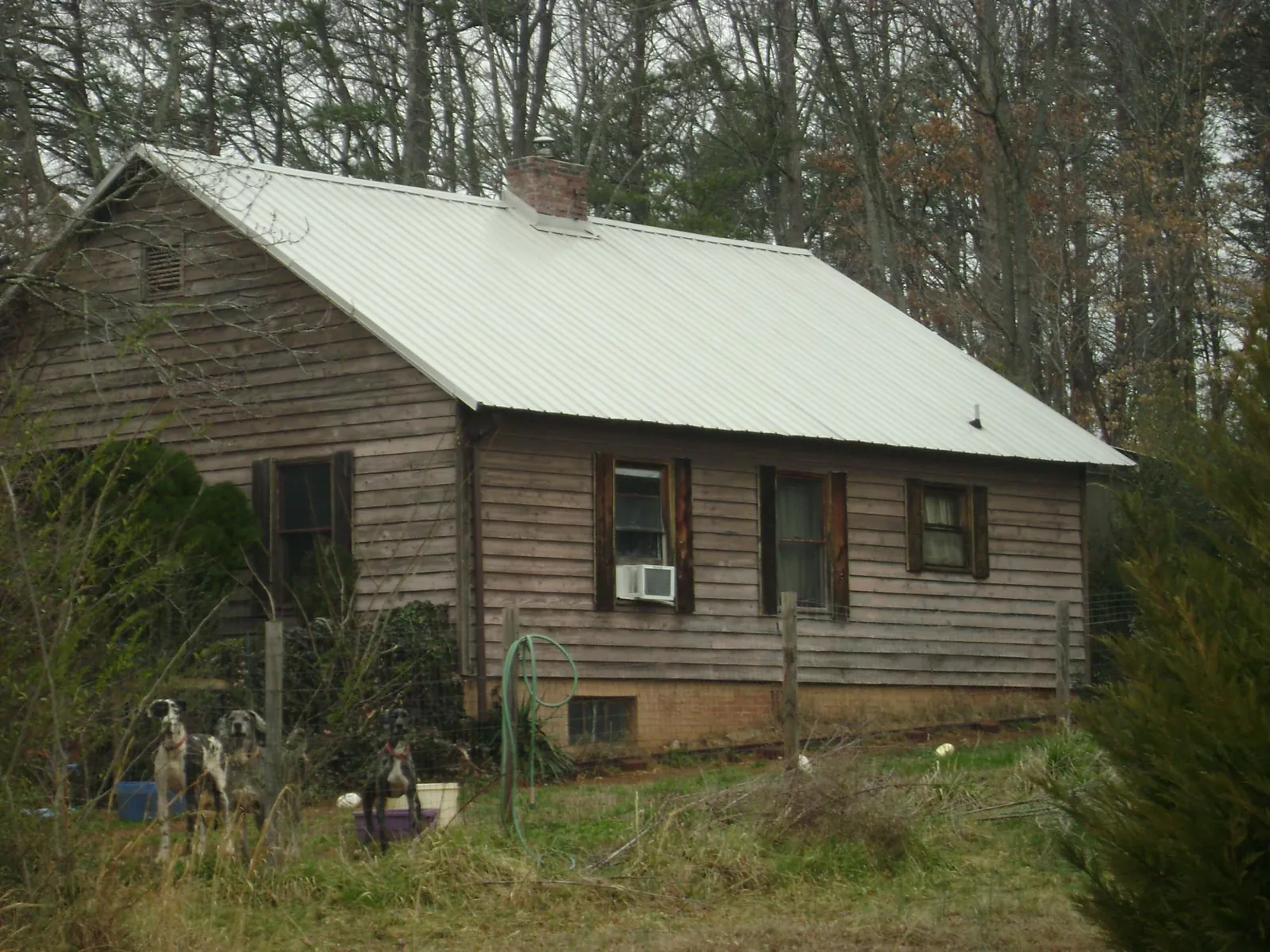 White metal roof on an old wood sided farmhouse, from a Metal Roof Installation job in Zillah